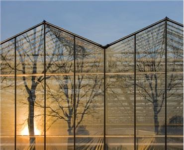 Serre de privation de lumière en polycarbonate résistant à la neige Vent fort Venlo