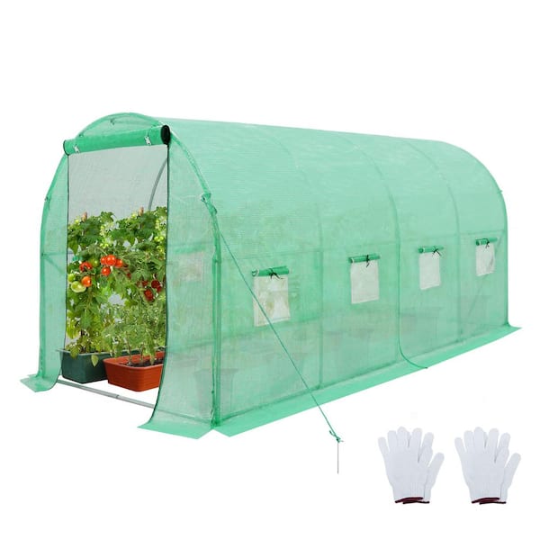 20 pieds. WX 10 pieds. DX 6,6 pieds. H Grande serre de plain-pied dans le jardin tunnel