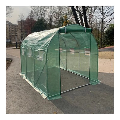 Serre de plain-pied pour tomates/fleurs pour la cour arrière de la maison